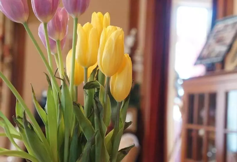 فندق Silver Fountain Inn