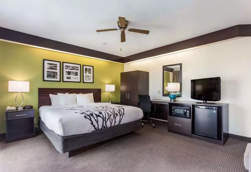 בית מלון כפרי Sleep Inn Little River North Myrtle Beach