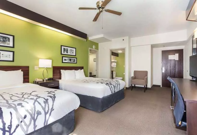 בית מלון כפרי Sleep Inn Little River North Myrtle Beach