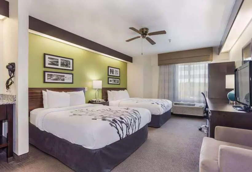 בית מלון כפרי Sleep Inn Little River North Myrtle Beach