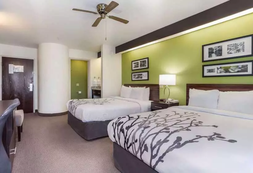 בית מלון כפרי Sleep Inn Little River North Myrtle Beach