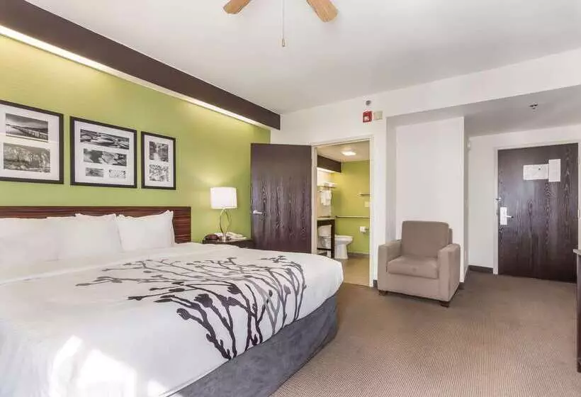 בית מלון כפרי Sleep Inn Little River North Myrtle Beach