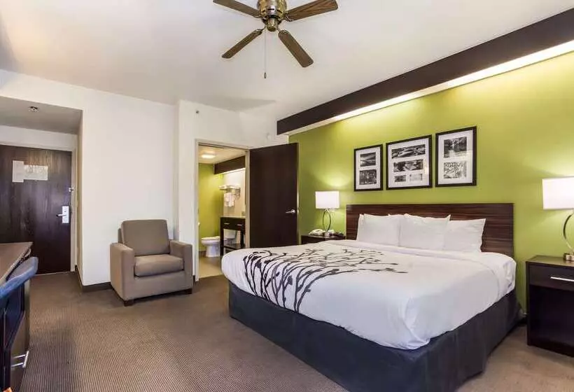 בית מלון כפרי Sleep Inn Little River North Myrtle Beach