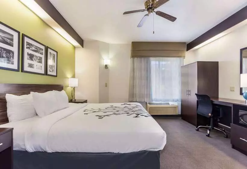 בית מלון כפרי Sleep Inn Little River North Myrtle Beach