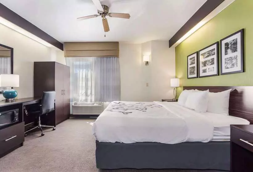 בית מלון כפרי Sleep Inn Little River North Myrtle Beach