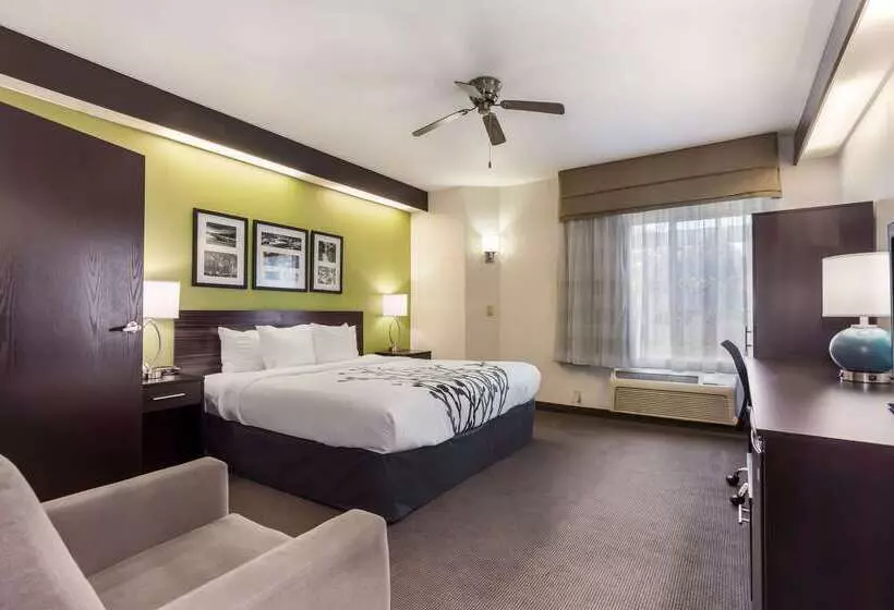 בית מלון כפרי Sleep Inn Little River North Myrtle Beach