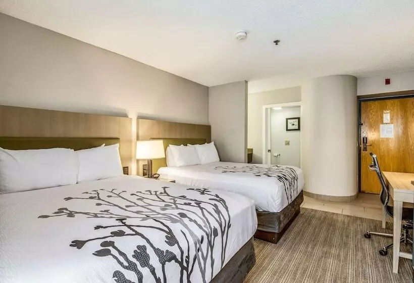 ホテル Sleep Inn Fort Mill Near Carowinds Blvd