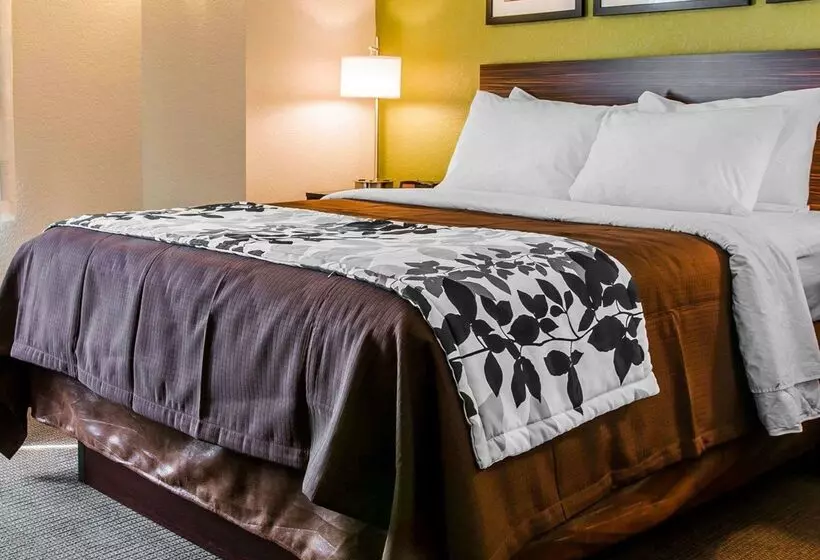 酒店 Sleep Inn