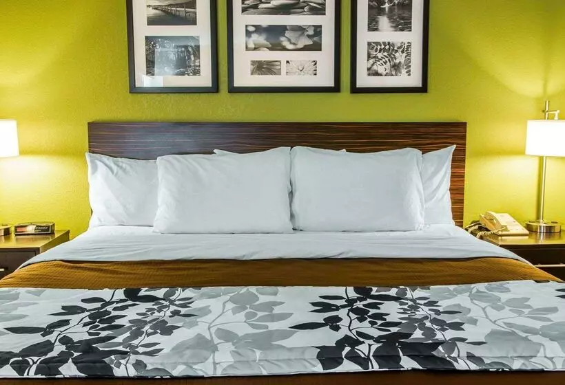 酒店 Sleep Inn