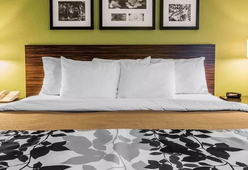 酒店 Sleep Inn