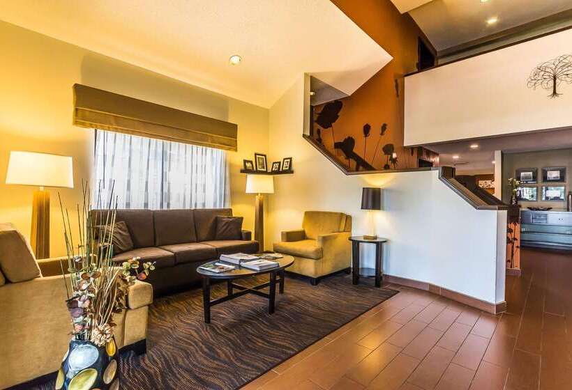 酒店 Sleep Inn Springfield South I60 Near Medical District