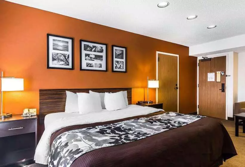 酒店 Sleep Inn Springfield South I60 Near Medical District