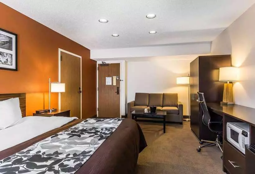 酒店 Sleep Inn Springfield South I60 Near Medical District