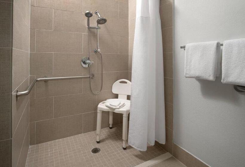 هتل Springhill Suites Dallas Arlington North