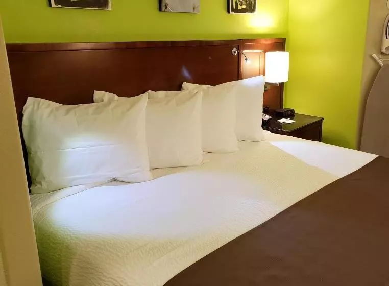 בית מלון כפרי Denver North