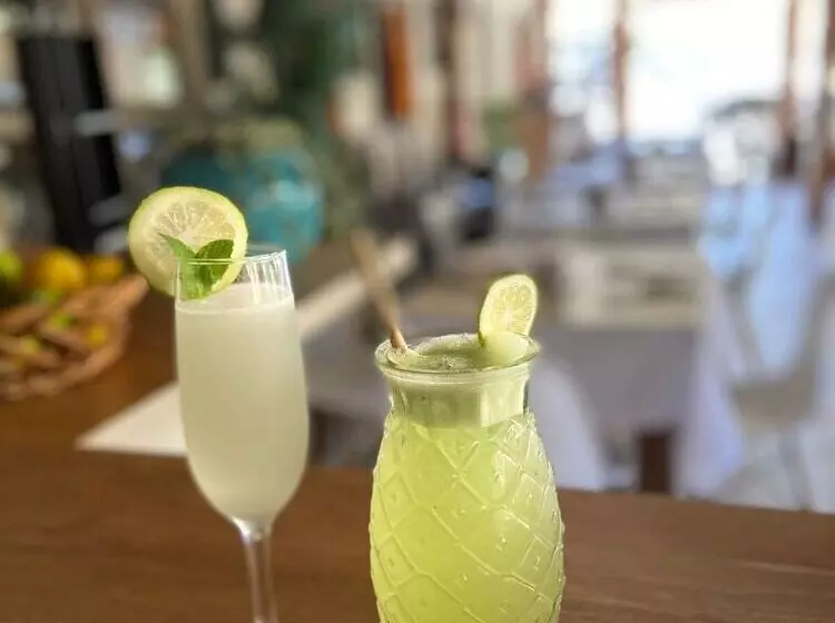 Hotelli El Tesoro De Elqui