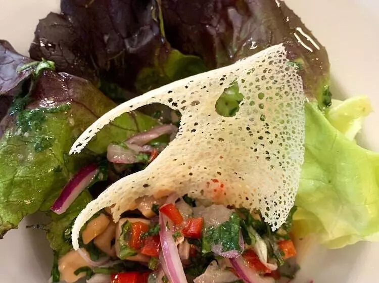 Hotelli El Tesoro De Elqui