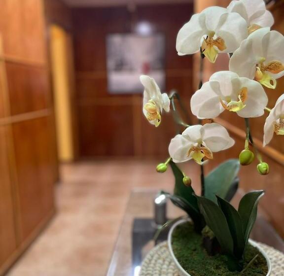 هتل Costa Del Mar