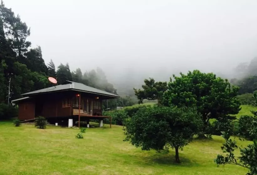 Lemon House Monteverde