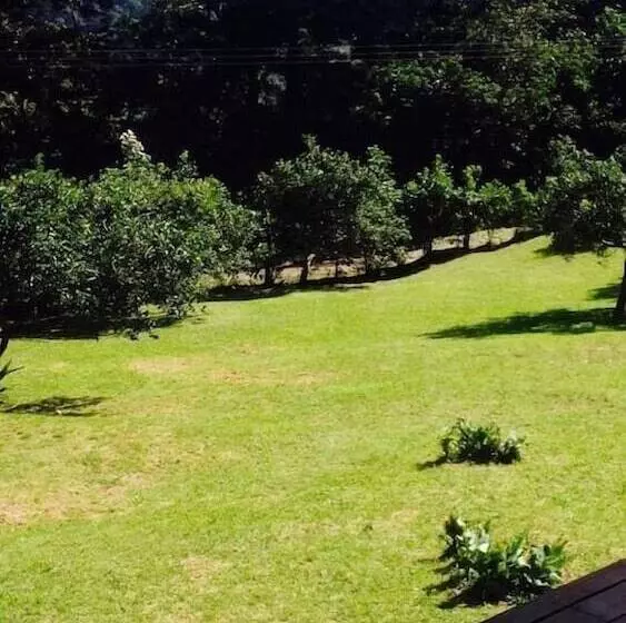 Lemon House Monteverde