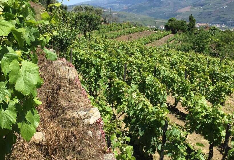 酒店 Casa Qta. Sta. Cruz Régua