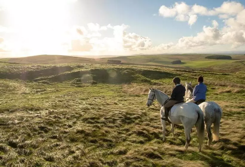 ベッドアンドブレックファースト Heatherlie House