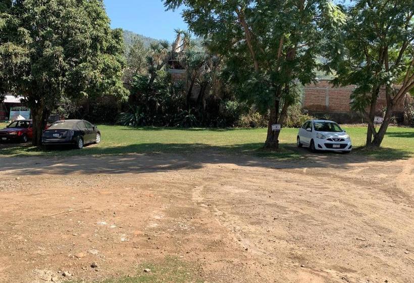 فندق La Quinta Sm