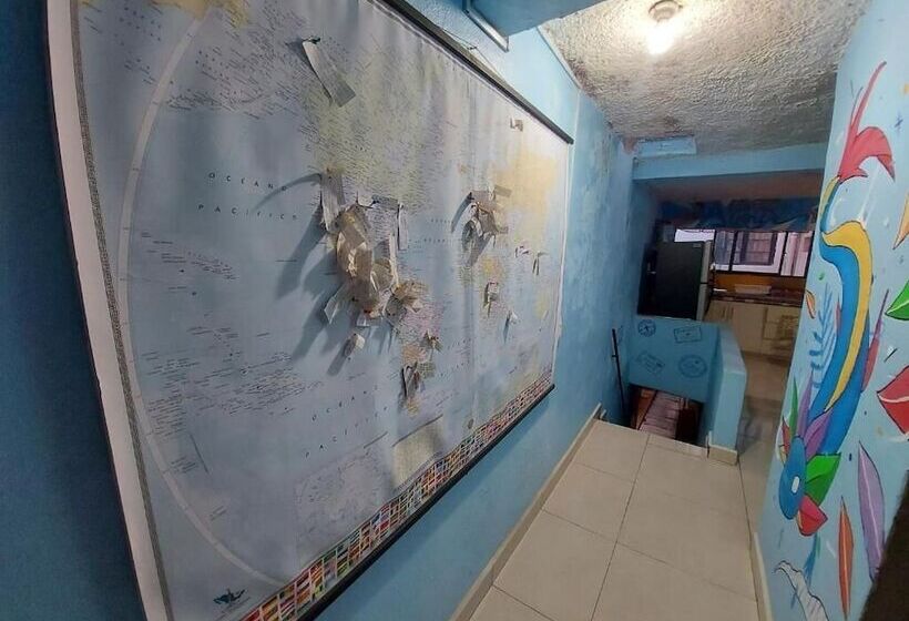 Pansiyon Hostal El Alebrije