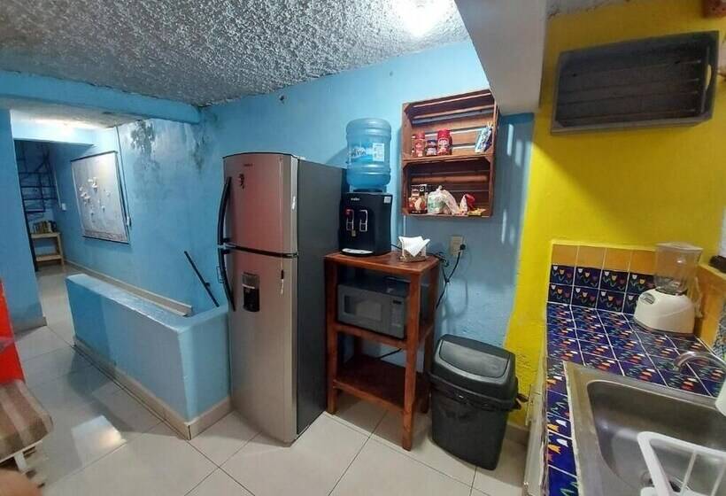 Pansiyon Hostal El Alebrije
