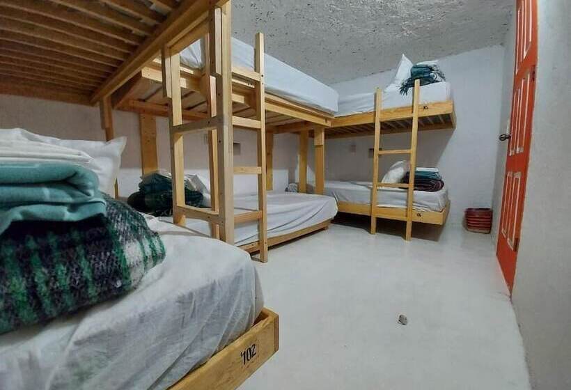 Pansiyon Hostal El Alebrije