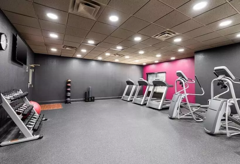 בית מלון כפרי Alice