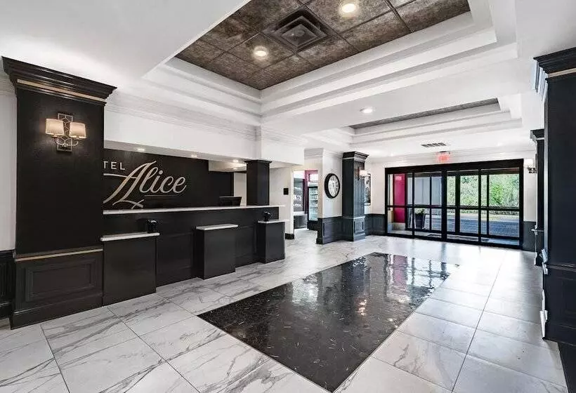 בית מלון כפרי Alice