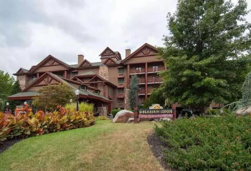 ホテル Bearskin Lodge On The River