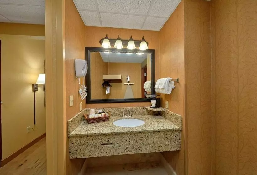 ホテル Bearskin Lodge On The River