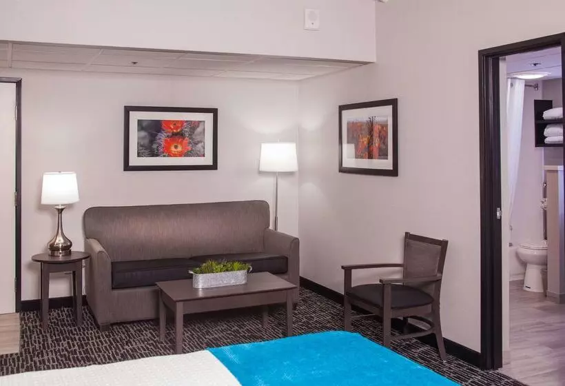 酒店 Best Western Plus Sun Canyon