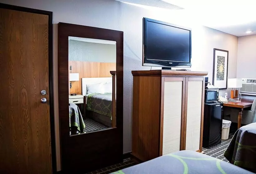 호텔 Super 8 By Wyndham Holbrook