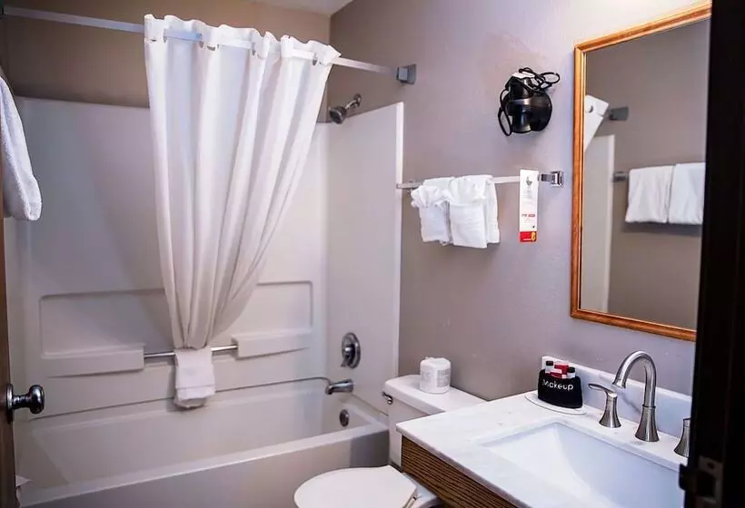 호텔 Super 8 By Wyndham Holbrook