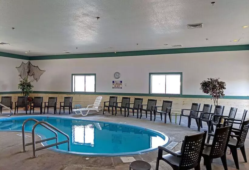 汽车旅馆 Americas Best Value Inn Torrington