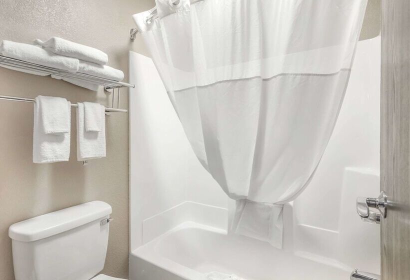 מוטל Quality Inn & Suites