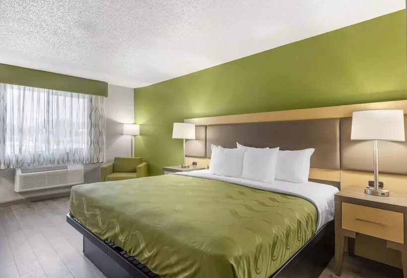 모텔 Quality Inn & Suites