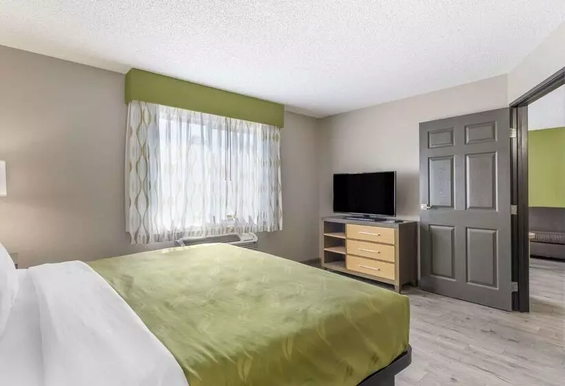 모텔 Quality Inn & Suites