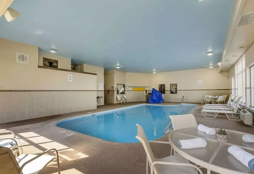 모텔 Quality Inn & Suites