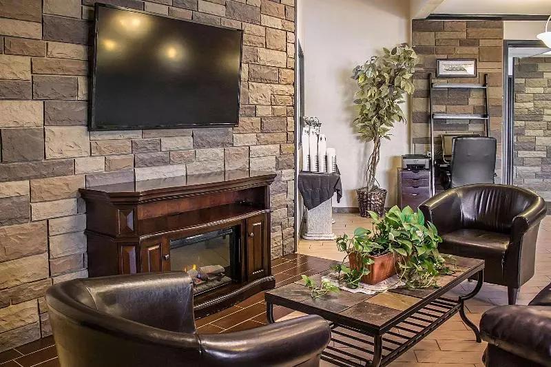 모텔 Quality Inn & Suites