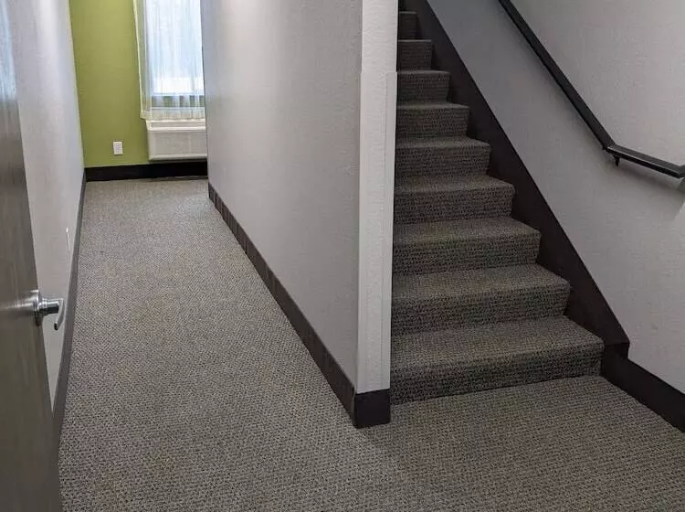 모텔 Quality Inn & Suites