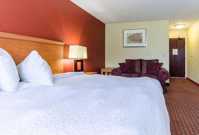 汽车旅馆 Rodeway Inn & Suites Jacksonville Near Camp Lejeune