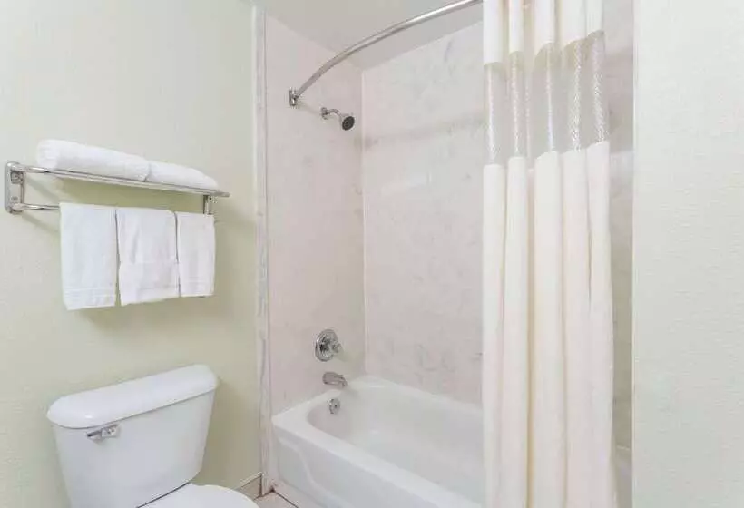 汽车旅馆 Super 8 By Wyndham Hull Street Midlothian Richmond Area