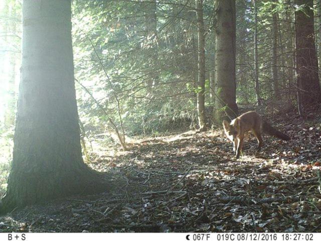 הוסטל Bellevue Chambres D'hôtes