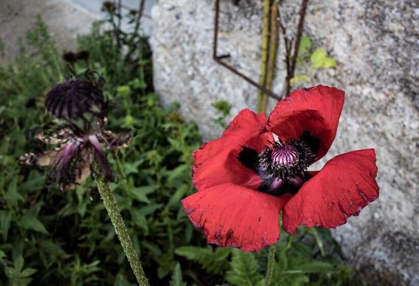 הוסטל Bellevue Chambres D'hôtes