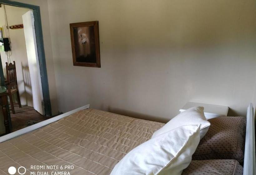 Hostel La Isleña Habitaciones