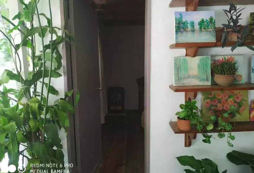 Retkeilymaja La Isleña Habitaciones